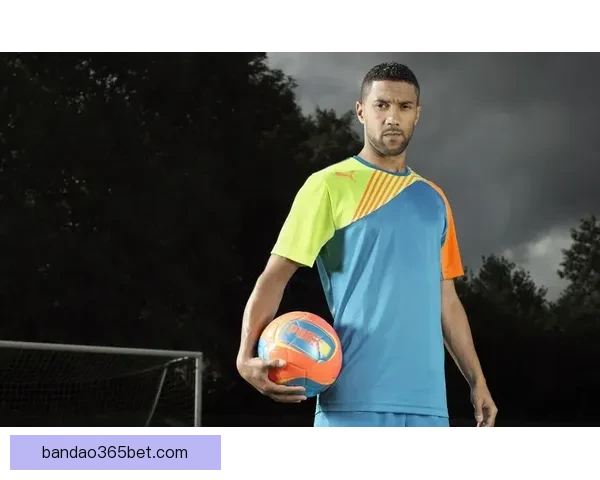 半岛体育官网引领数字体育新时代打造全方位赛事体验平台创新发展