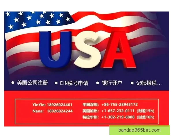 2026世界杯赛事全解析与热门竞猜策略全面指南