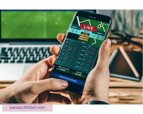 世界杯竞猜网站推荐与安全投注指南全面解析新手老手必看攻略大全